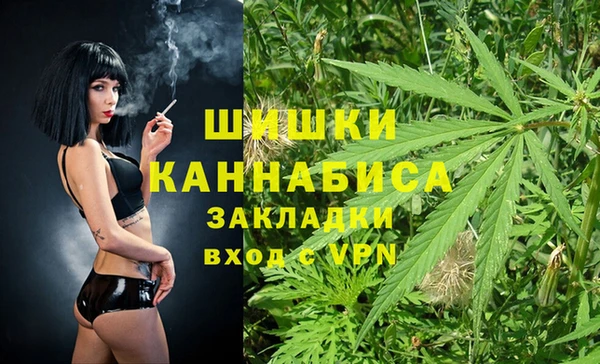ALPHA PVP Покров