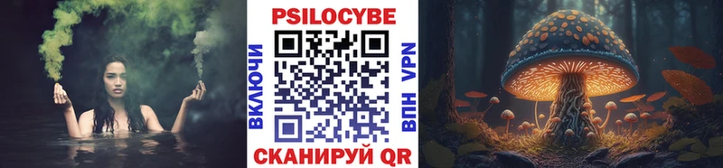 Псилоцибиновые грибы GOLDEN TEACHER  omg зеркало  Колпашево 